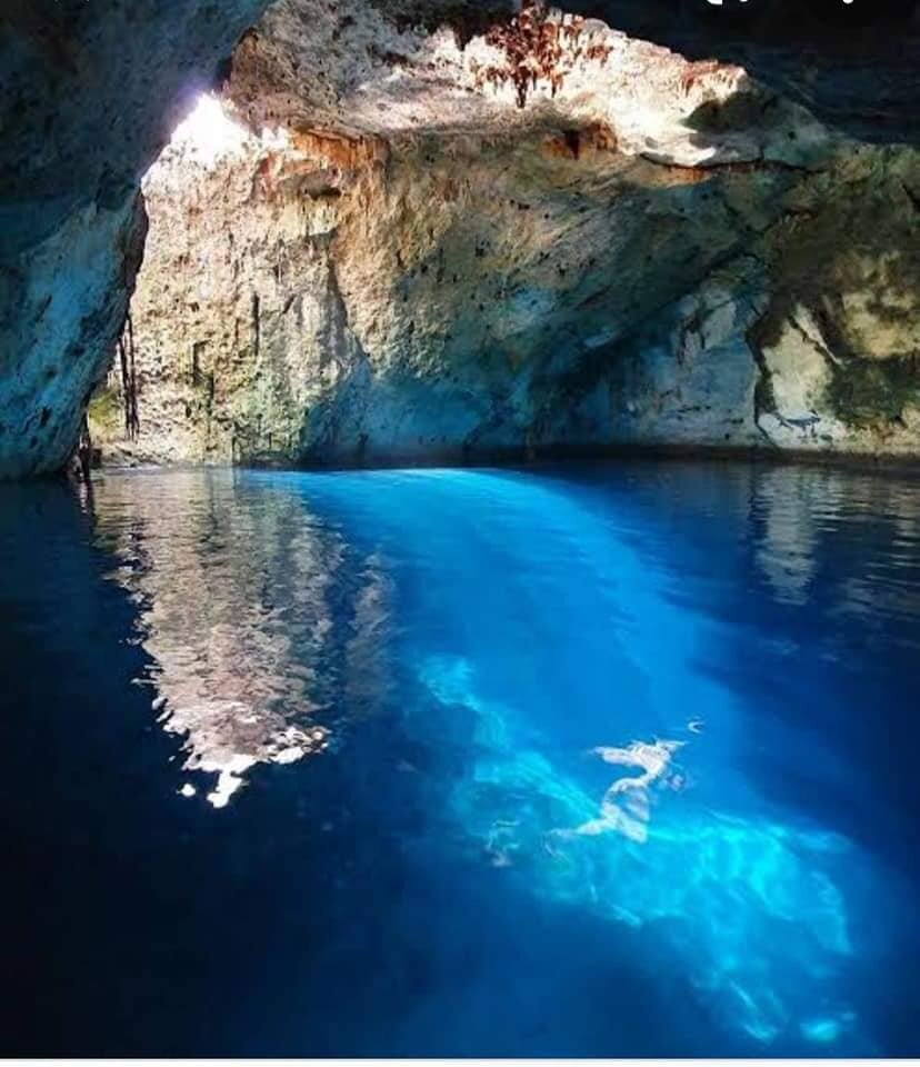 Cenotes: Cliff Jump/Rope Swing