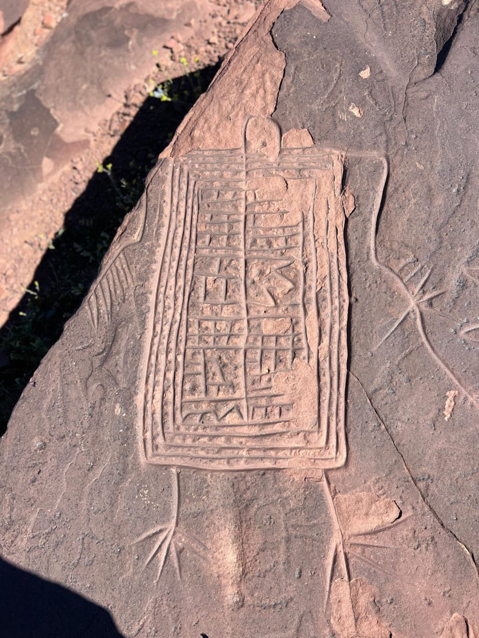 Yagour Tracking