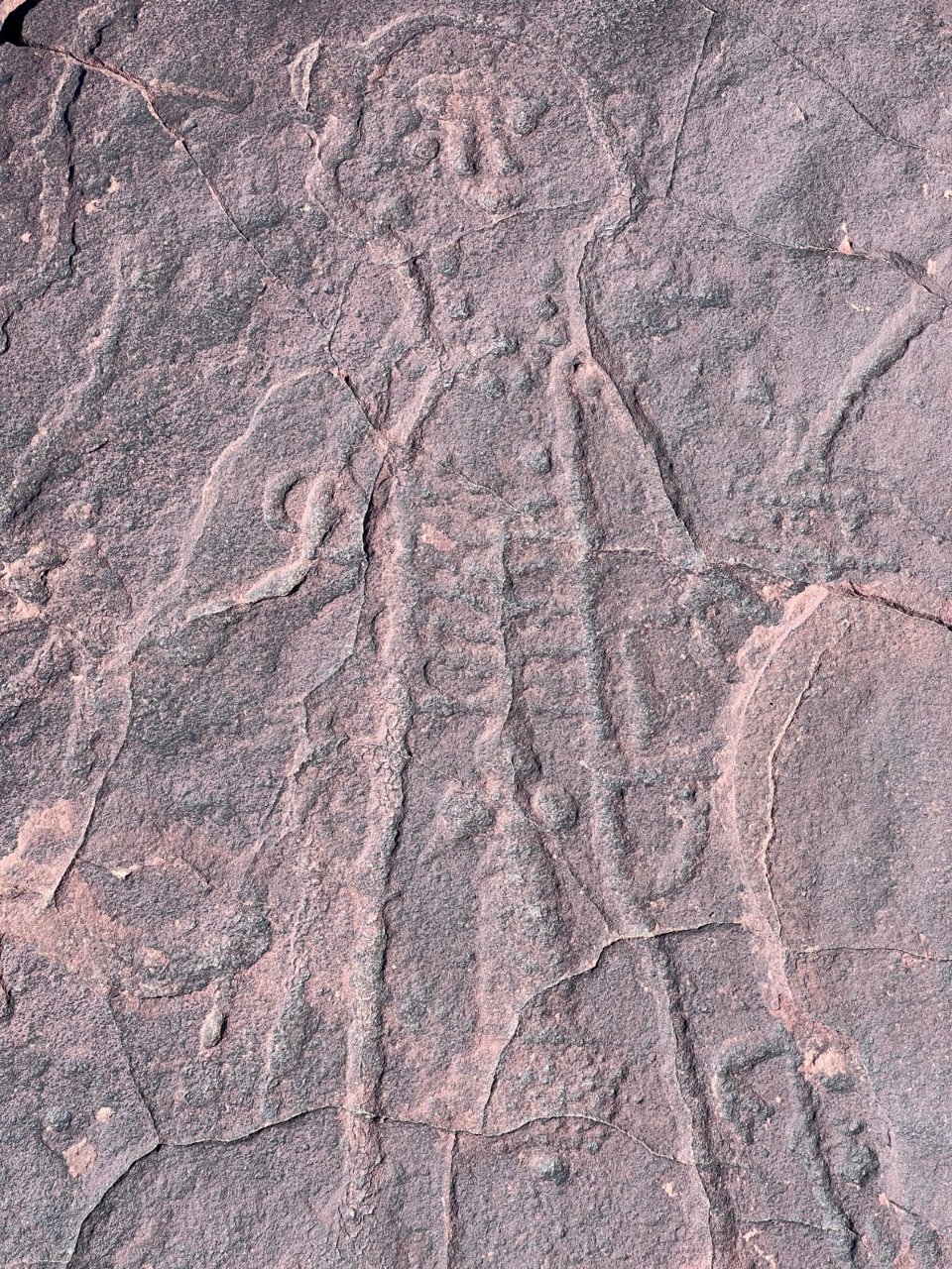 Yagour Tracking