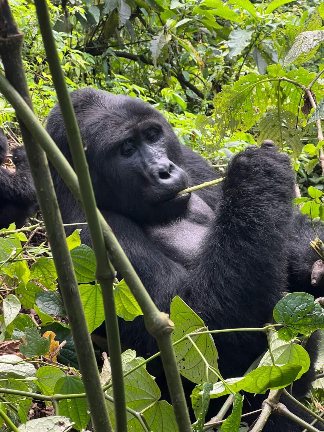 Ubumwe Tours & Travel Ltd.