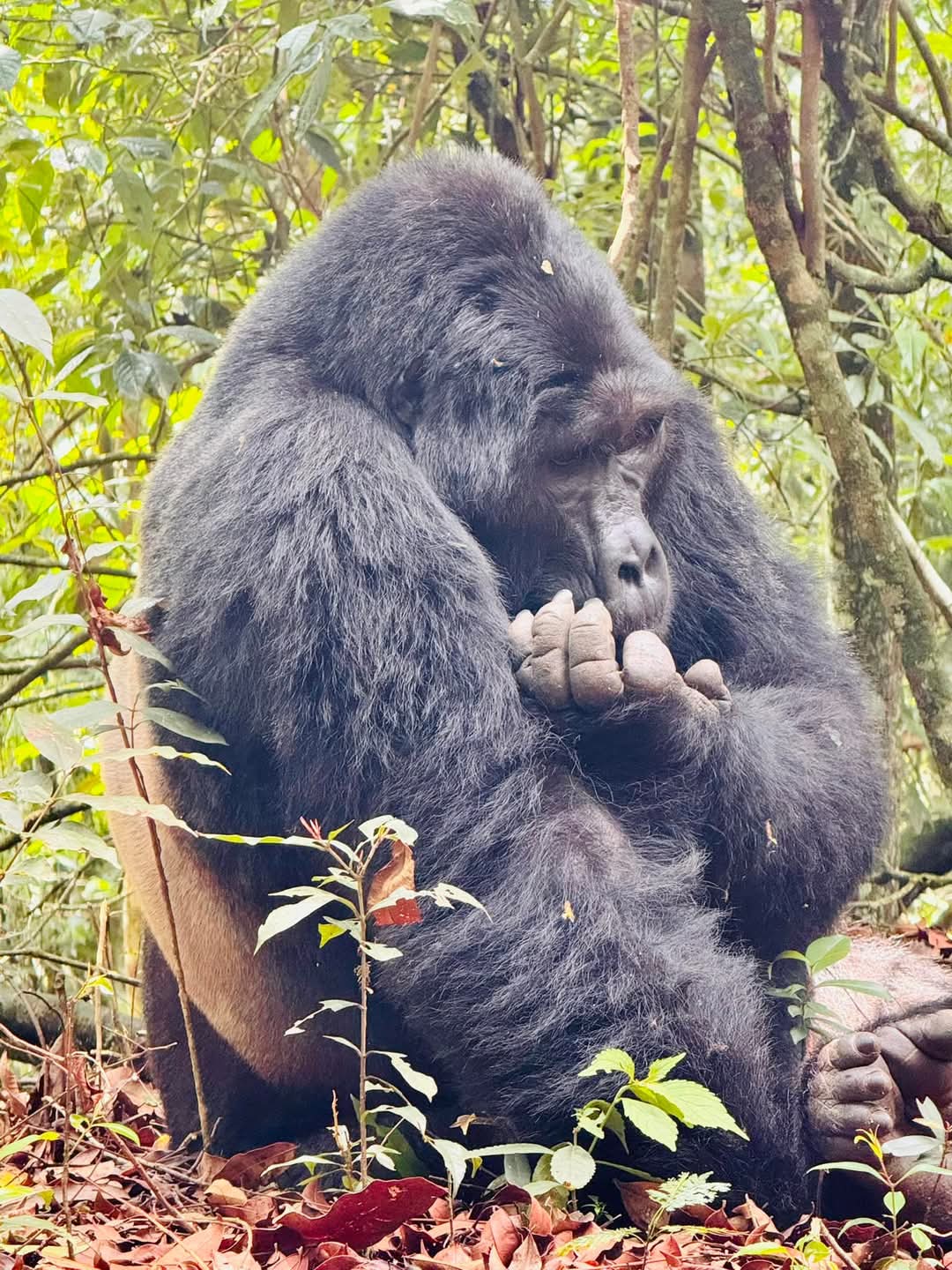 Ubumwe Tours & Travel Ltd.