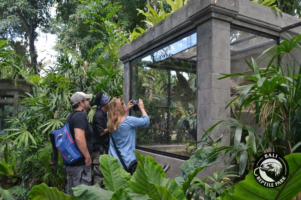 Bali Reptile Park