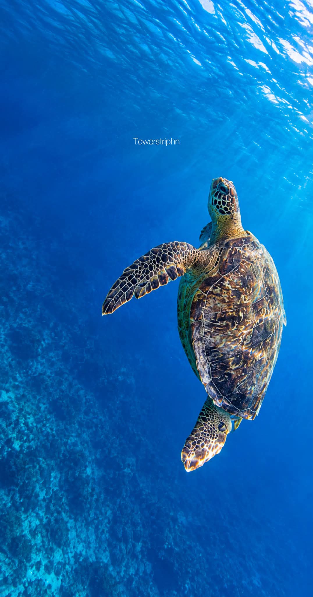 DC Adventure Tours Roatan
