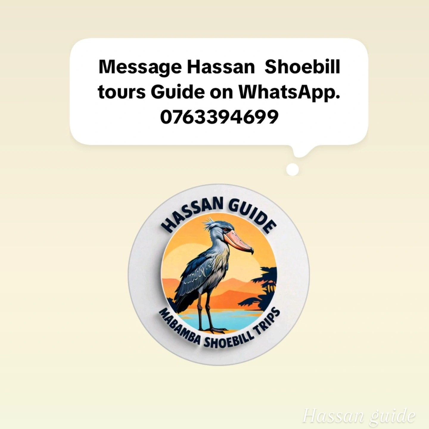 Mabamba swamp shoebill tours and bird watching Uganda