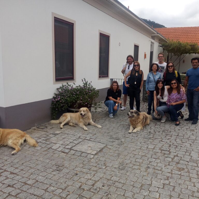 DLPRIVATETOURS