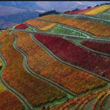 DLPRIVATETOURS