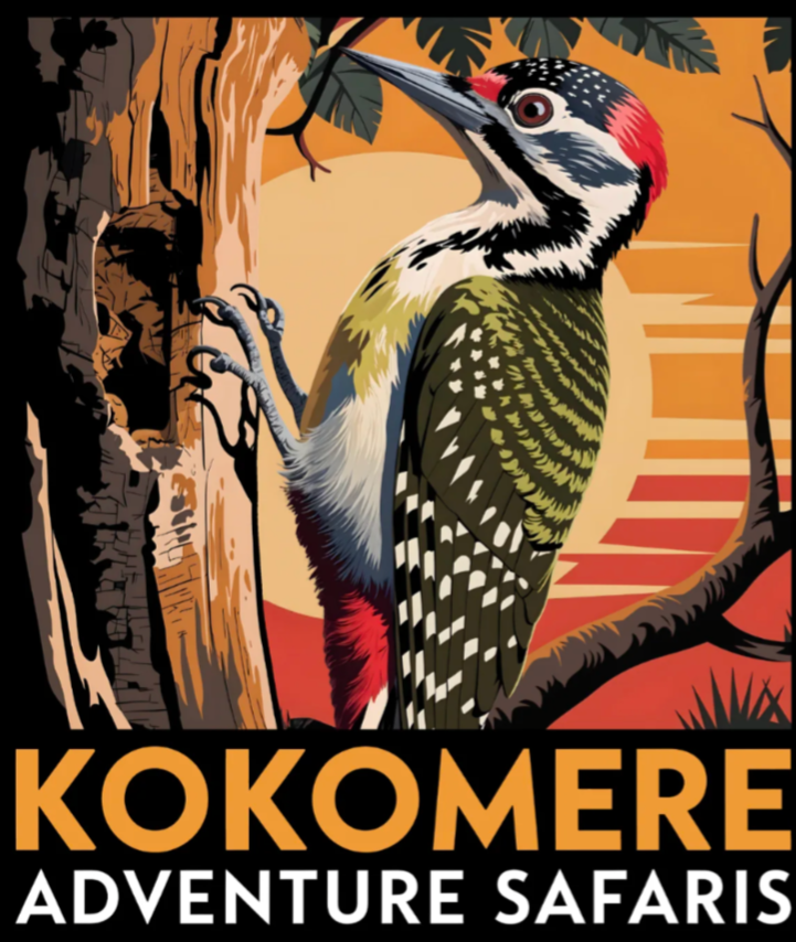 Kokomere Adventure Safaris