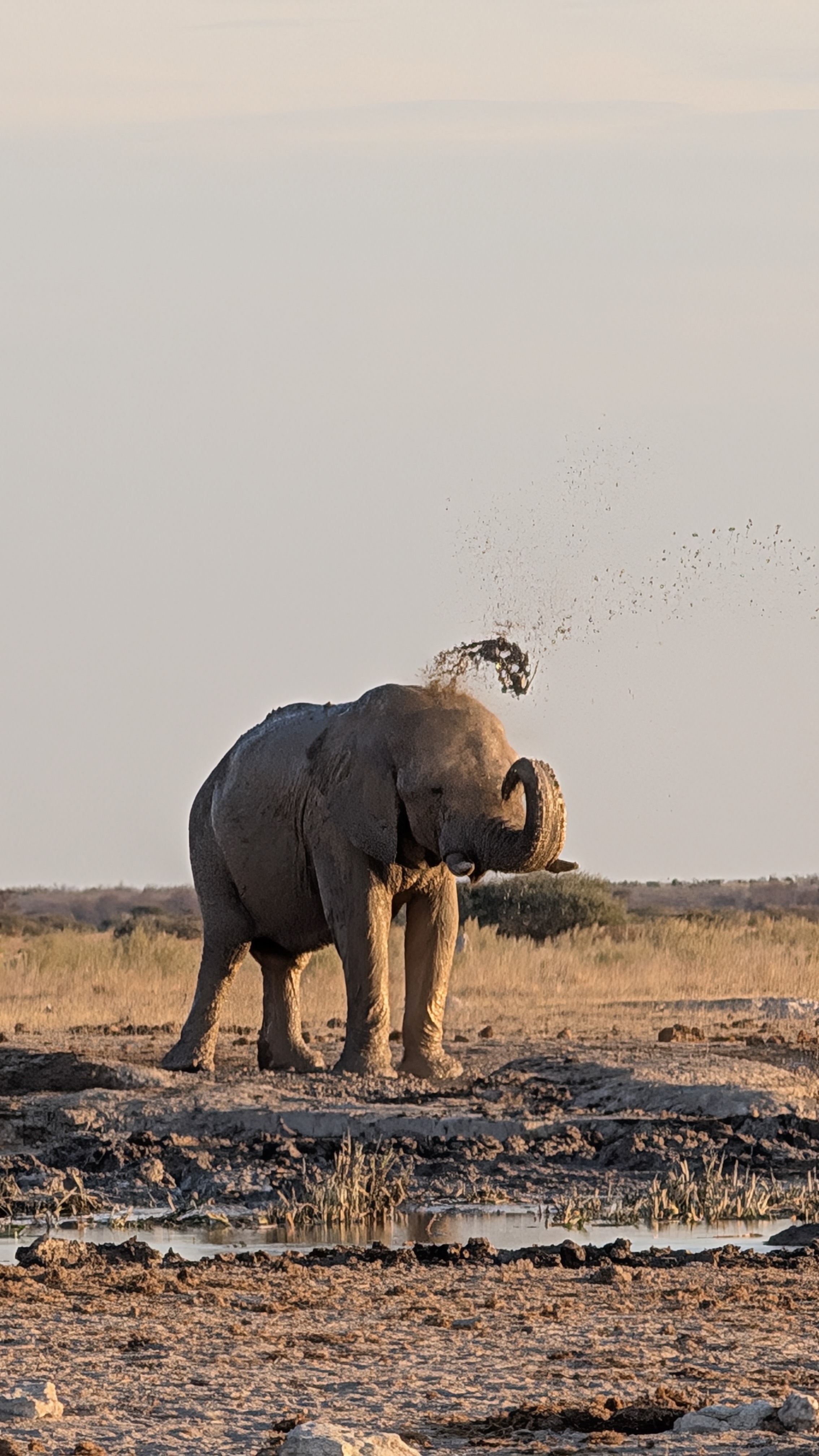 Kokomere Adventure Safaris