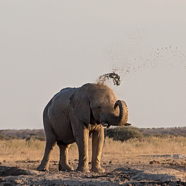 Kokomere Adventure Safaris