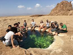 Tankwa Tours and Travels