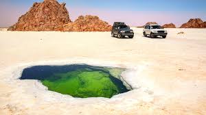 Tankwa Tours and Travels