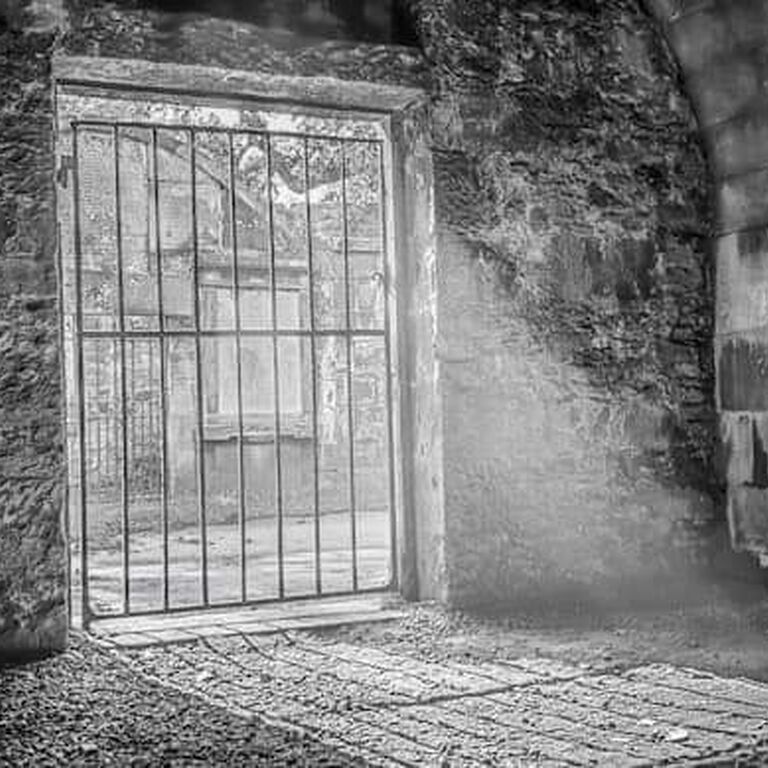 City of the Dead Tours