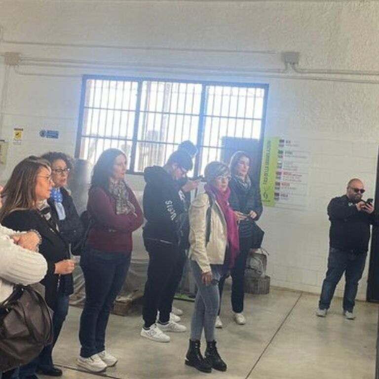 Oleificio Fratelli Mezzapelle