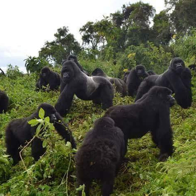 MUAFRIKA ADVENTURES LIMITED