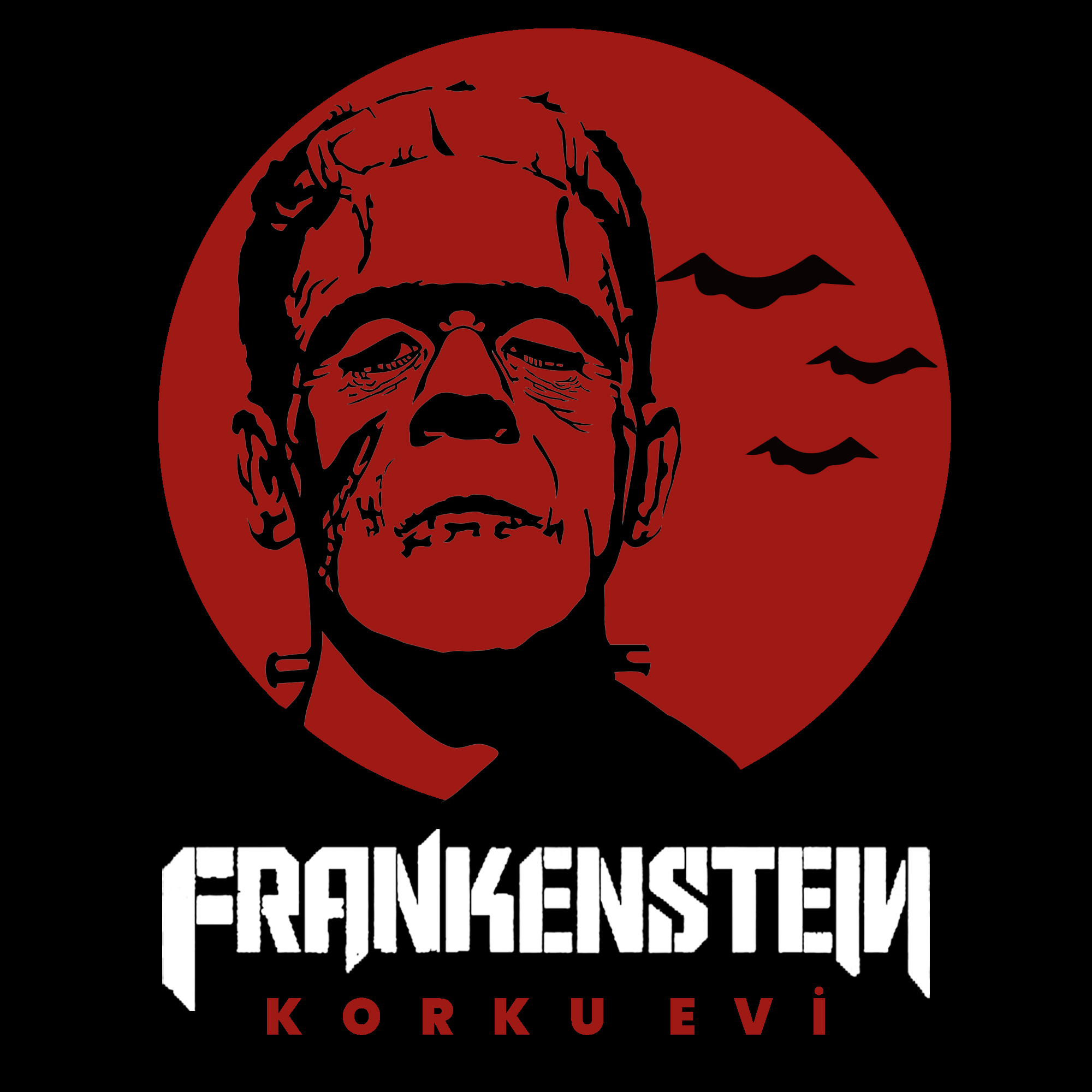 Frankenstein Haunted House