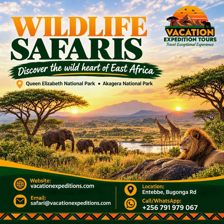 Vacation Expedition Tours