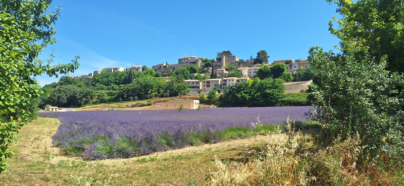 provence amazing tours