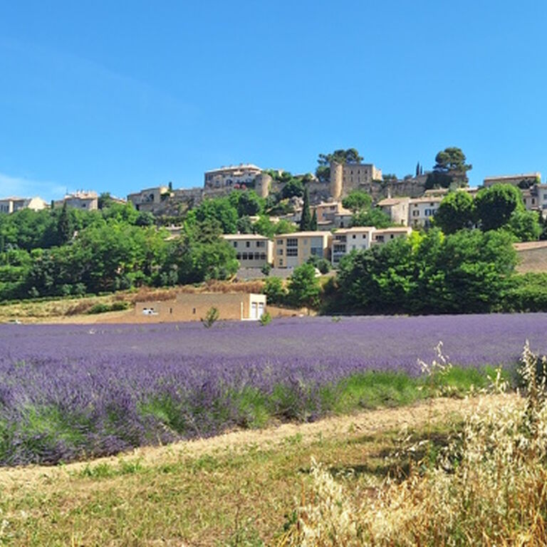 provence amazing tours
