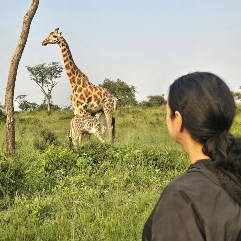 Ajs safaris tours &travels