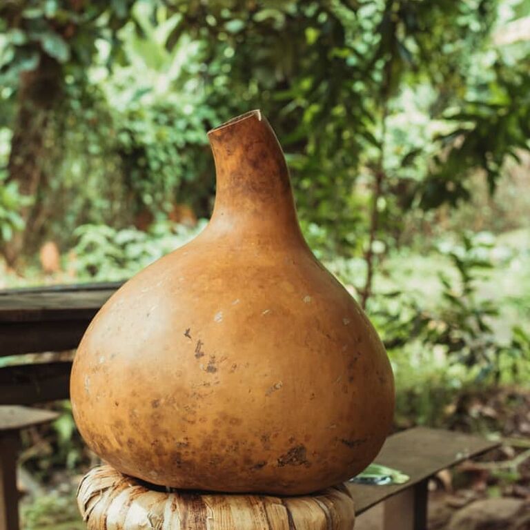Musingika Tourism Company Limi