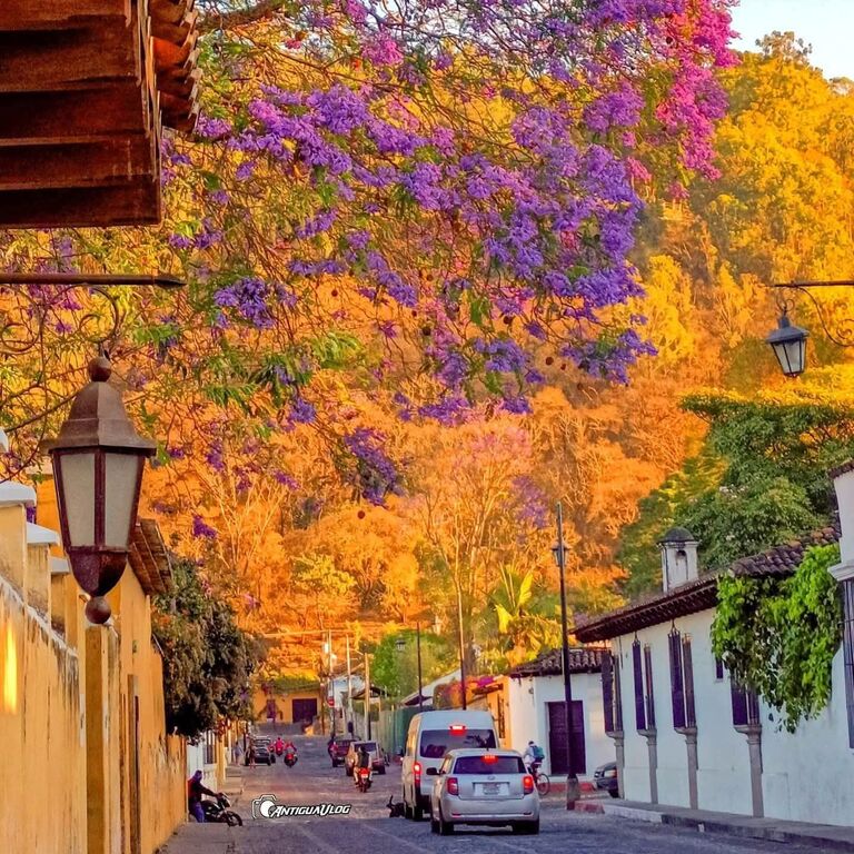 Travel chapín