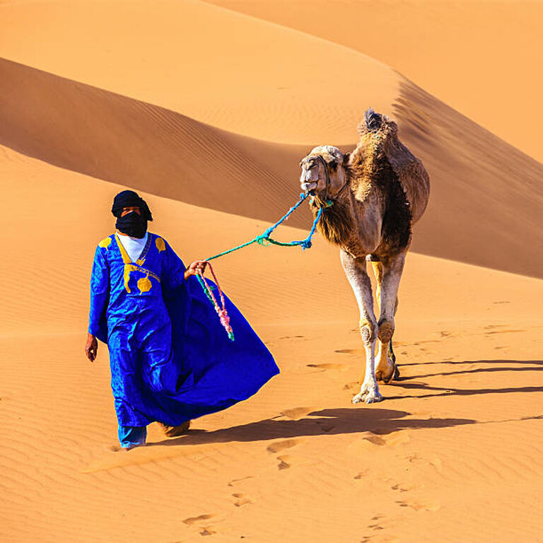 Merzouga Sands