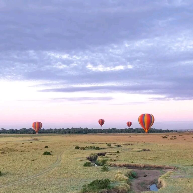 Kelly safaris and adventures