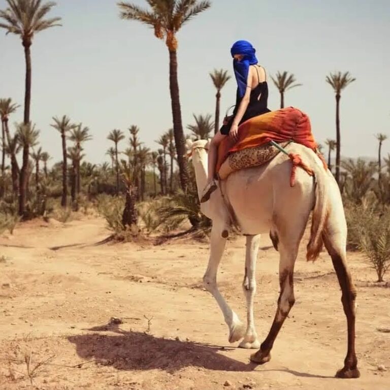Camel Sunday