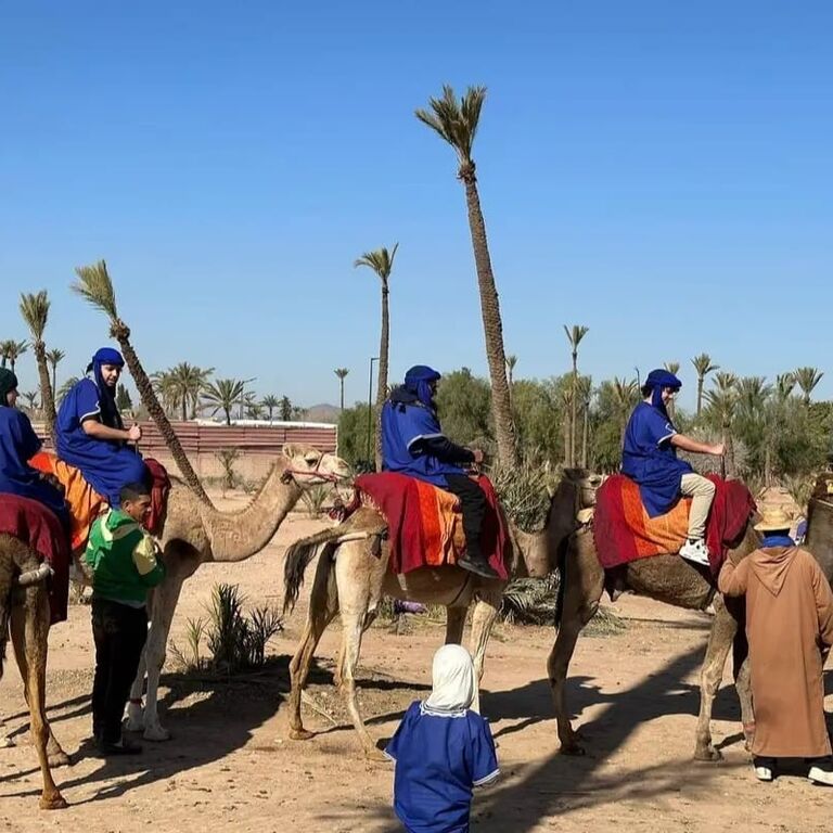 Camel Sunday