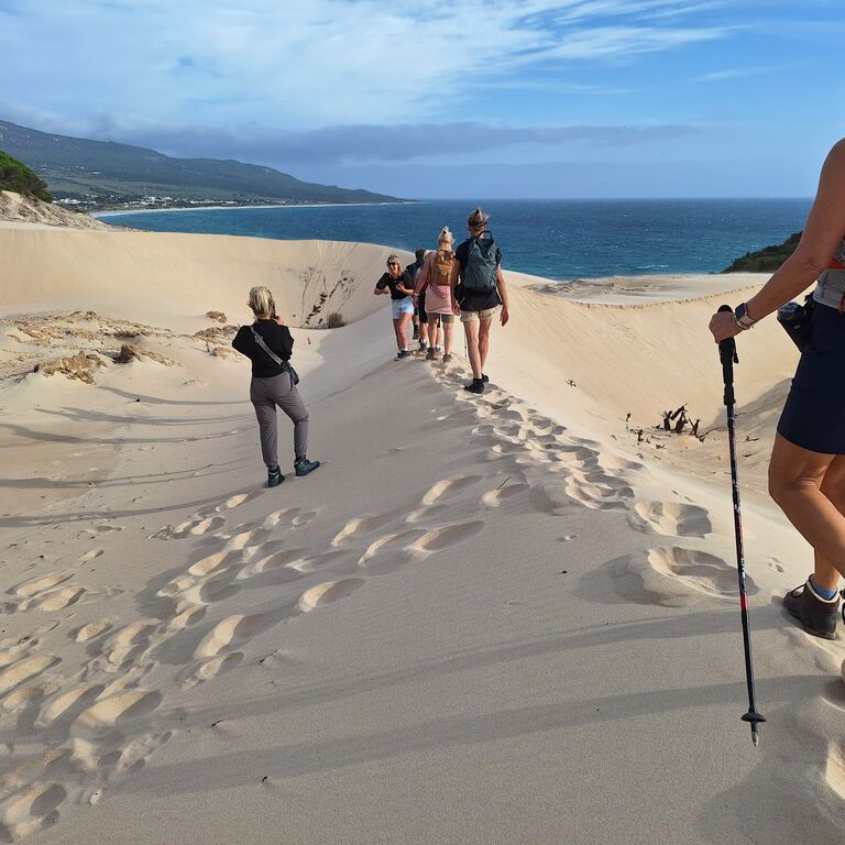Pedrotours