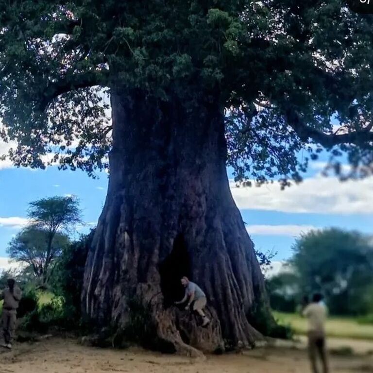 Wisaka Travels