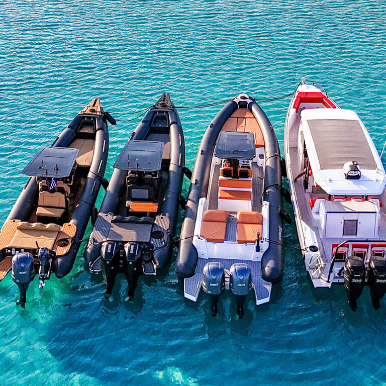 Elite Power Ribs