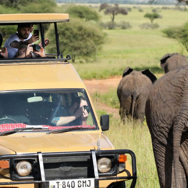 Kilimigration Tanzania Tours