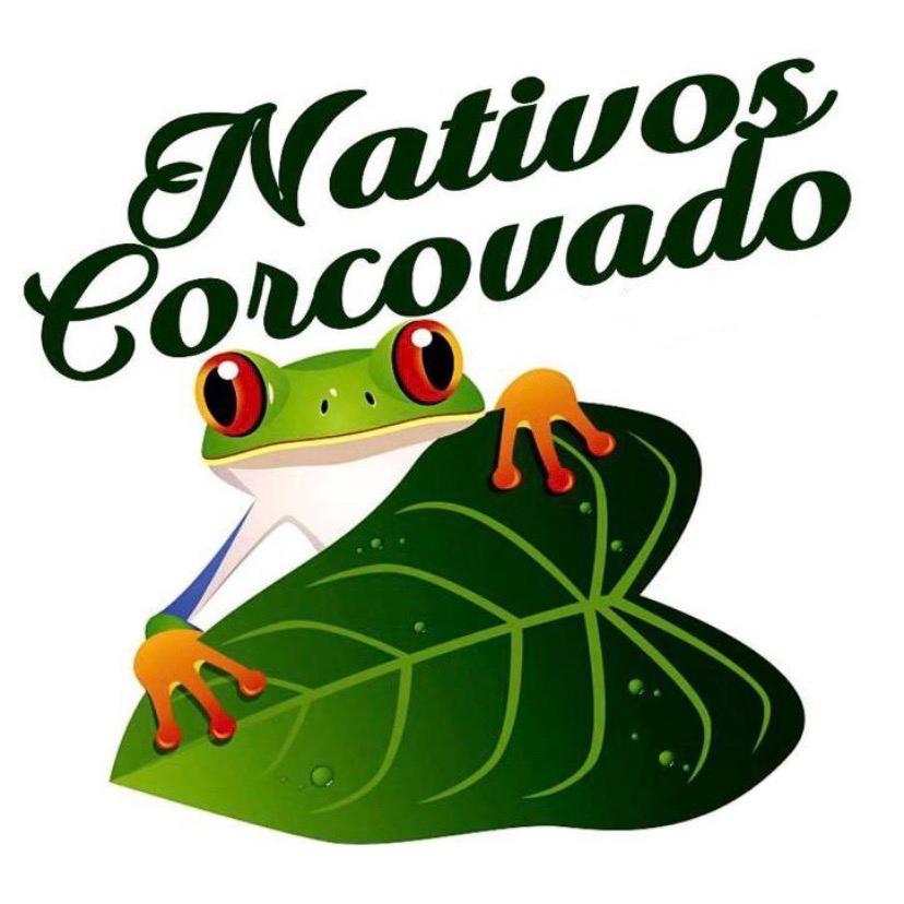 CorcovadoSunriseTour