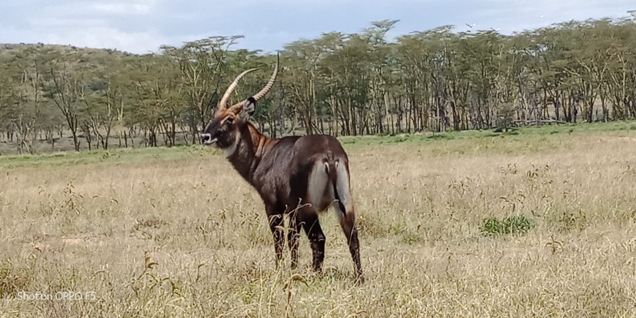 HIDAYA AFRICA TOURS AND TRAVEL