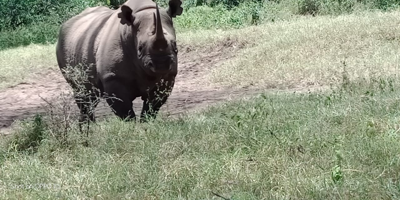 HIDAYA AFRICA TOURS AND TRAVEL