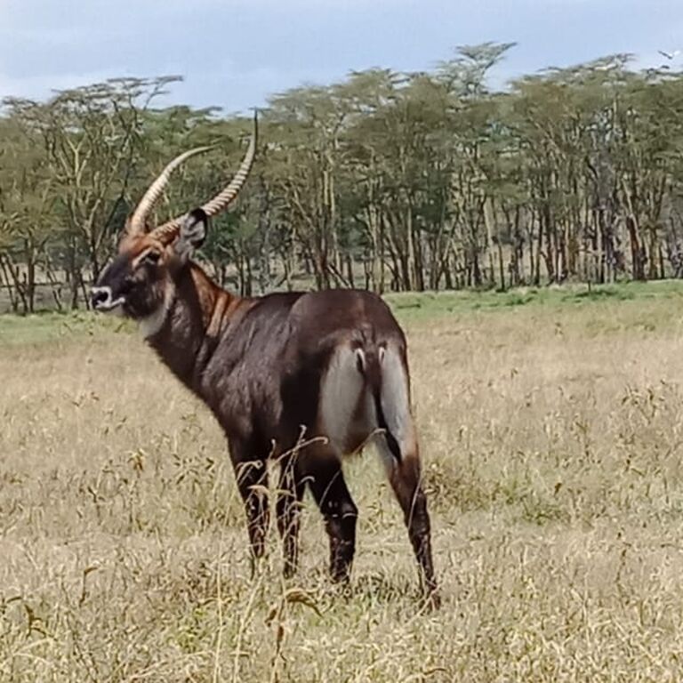 HIDAYA AFRICA TOURS AND TRAVEL