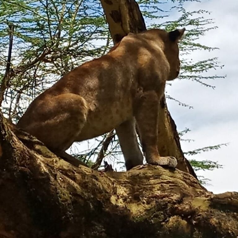 HIDAYA AFRICA TOURS AND TRAVEL
