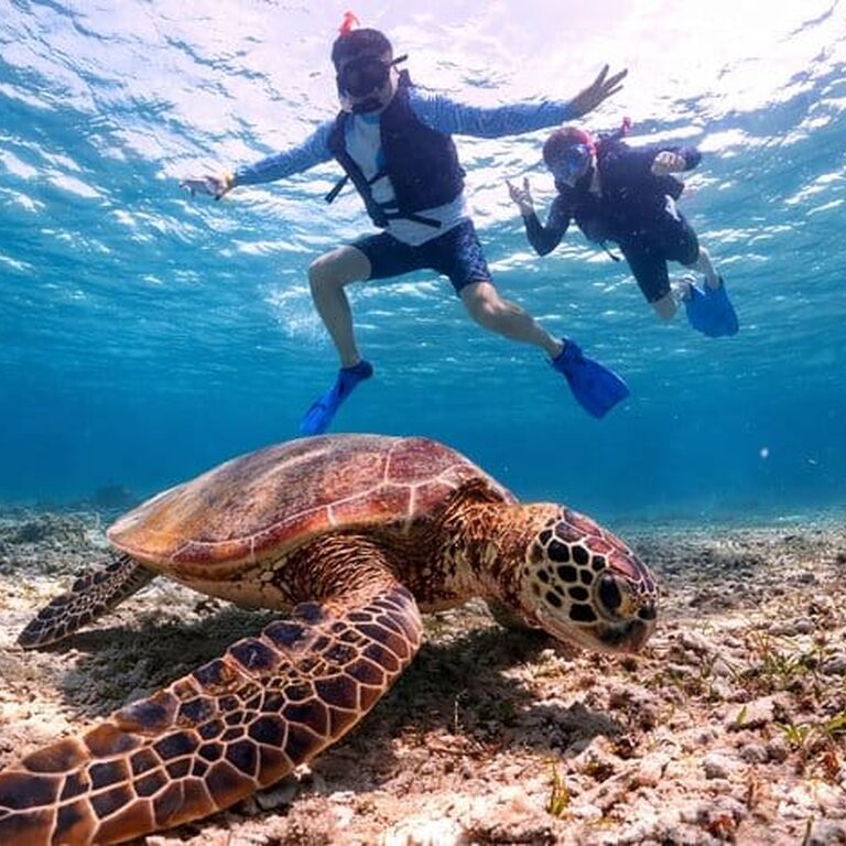 Edirisinghe  travel & Tours