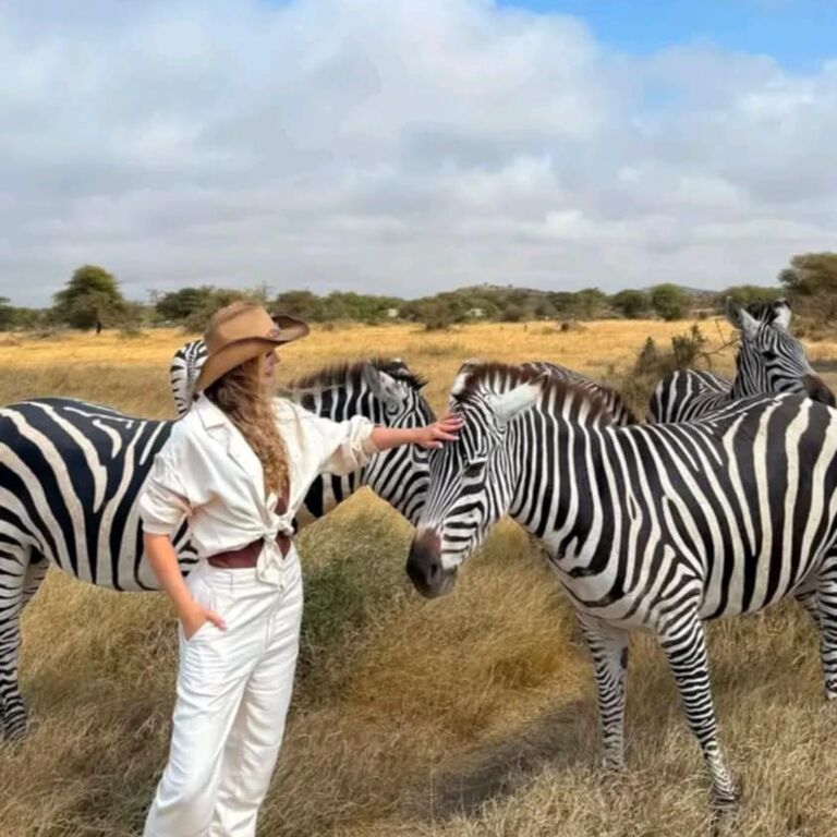 The Chosen Journey And Safari