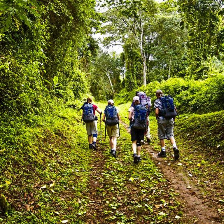 Nyankole Tours