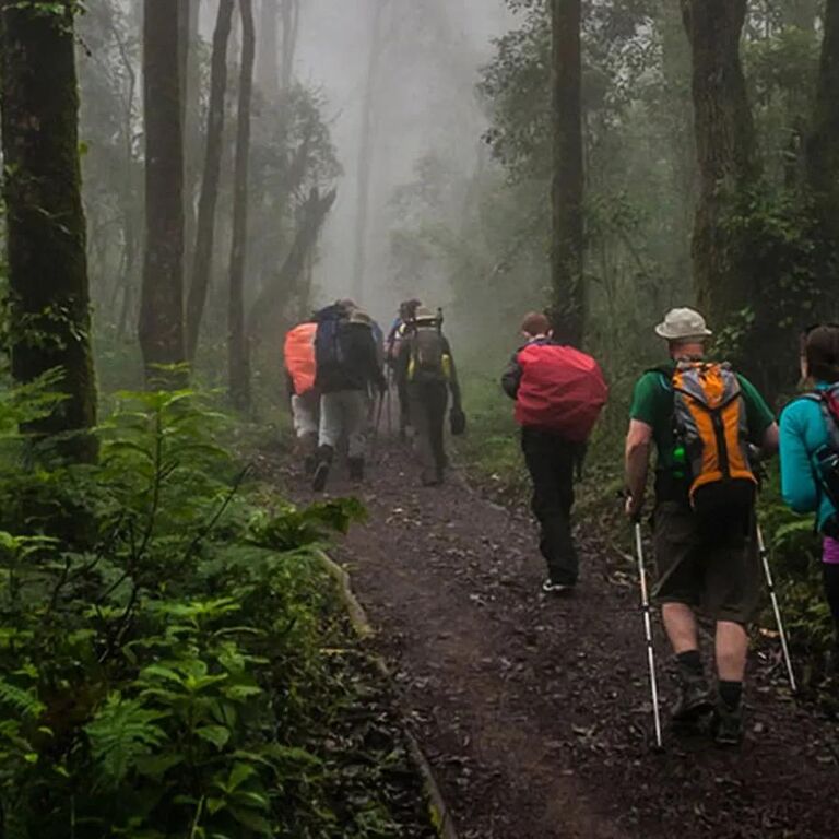 Nyankole Tours