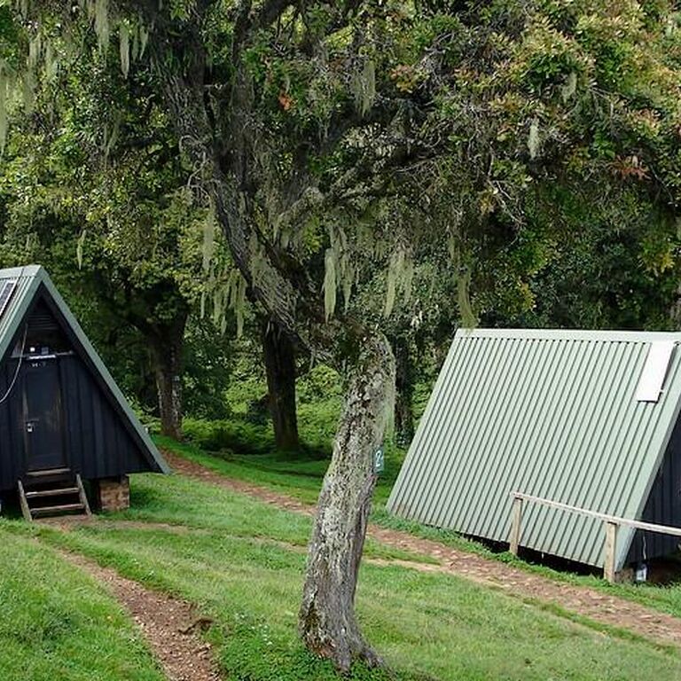 Nyankole Tours