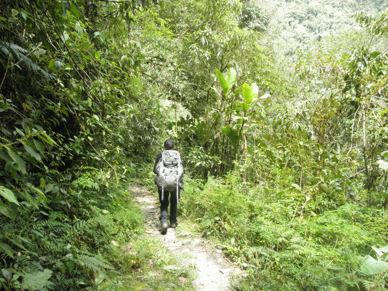 ANDEAN PEAKS BOLIVIA