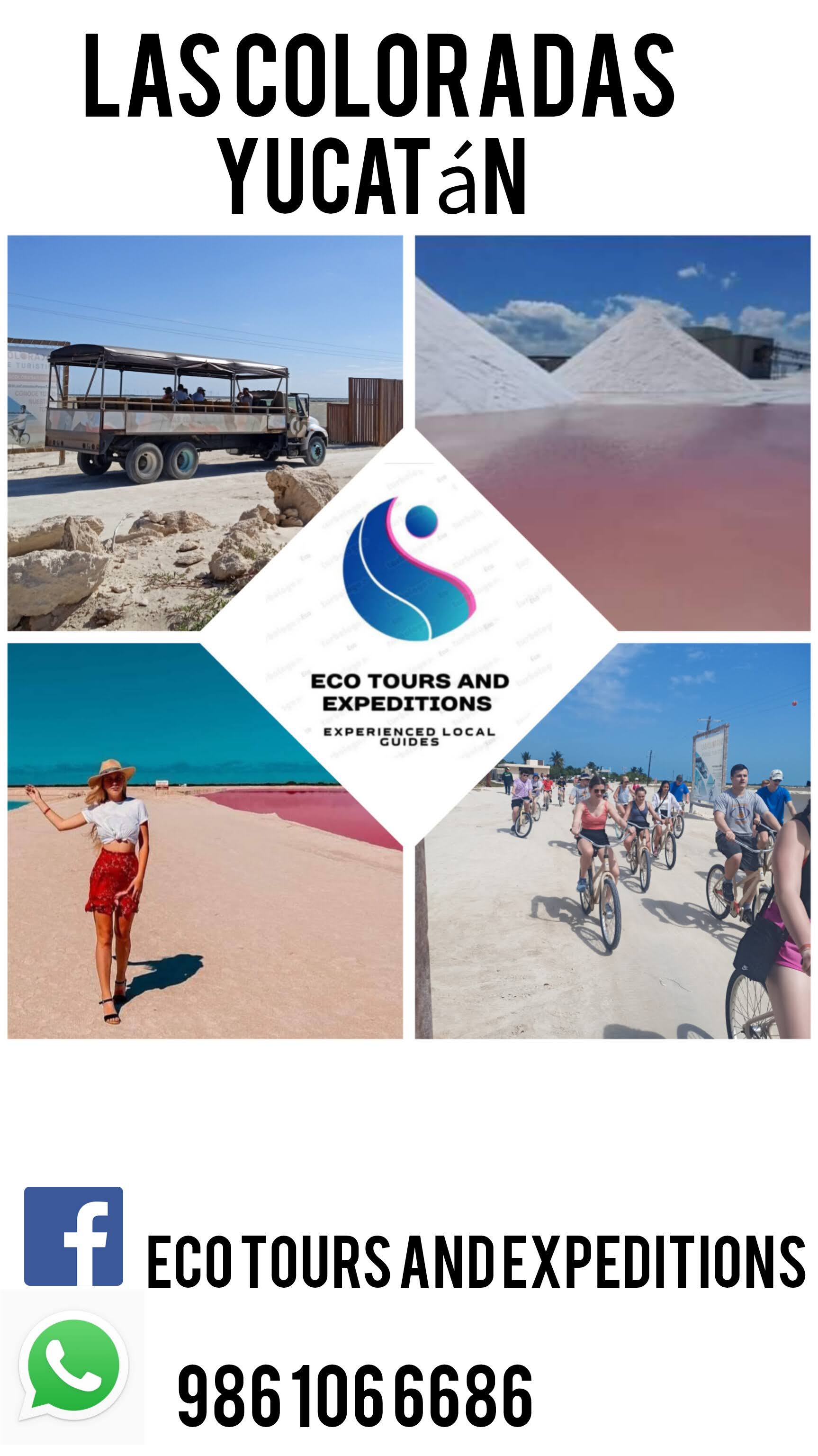 Eco Tours and Services
