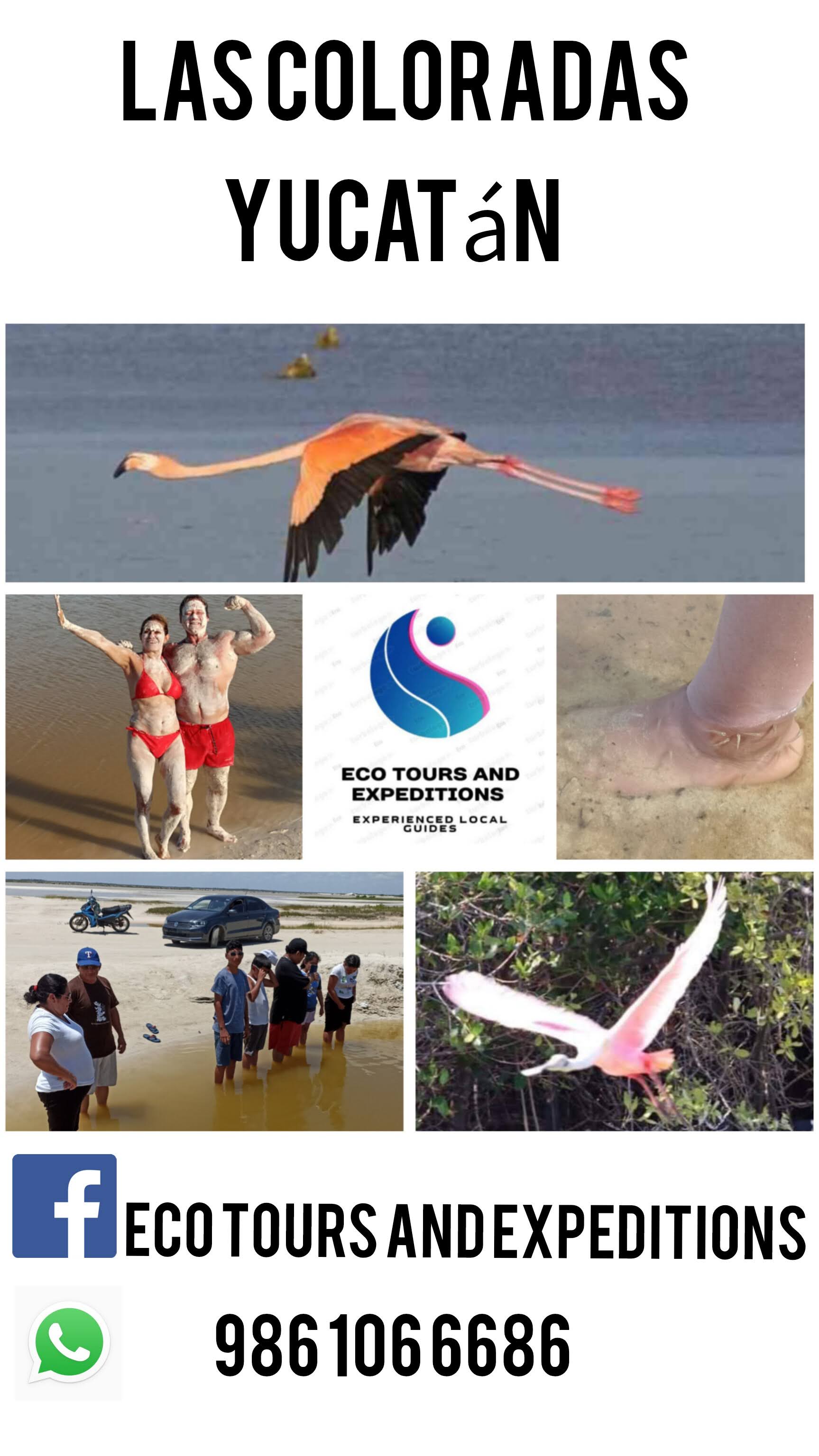 Eco Tours and Services