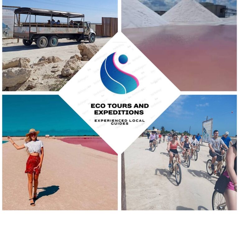 Eco Tours and Services