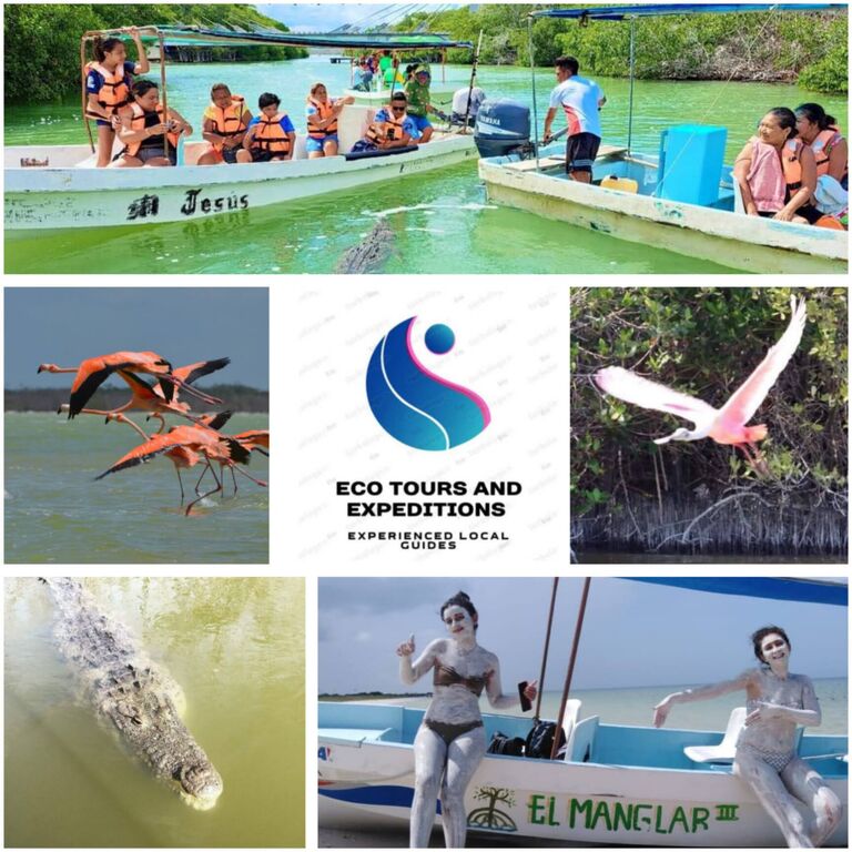 Eco Tours and Services