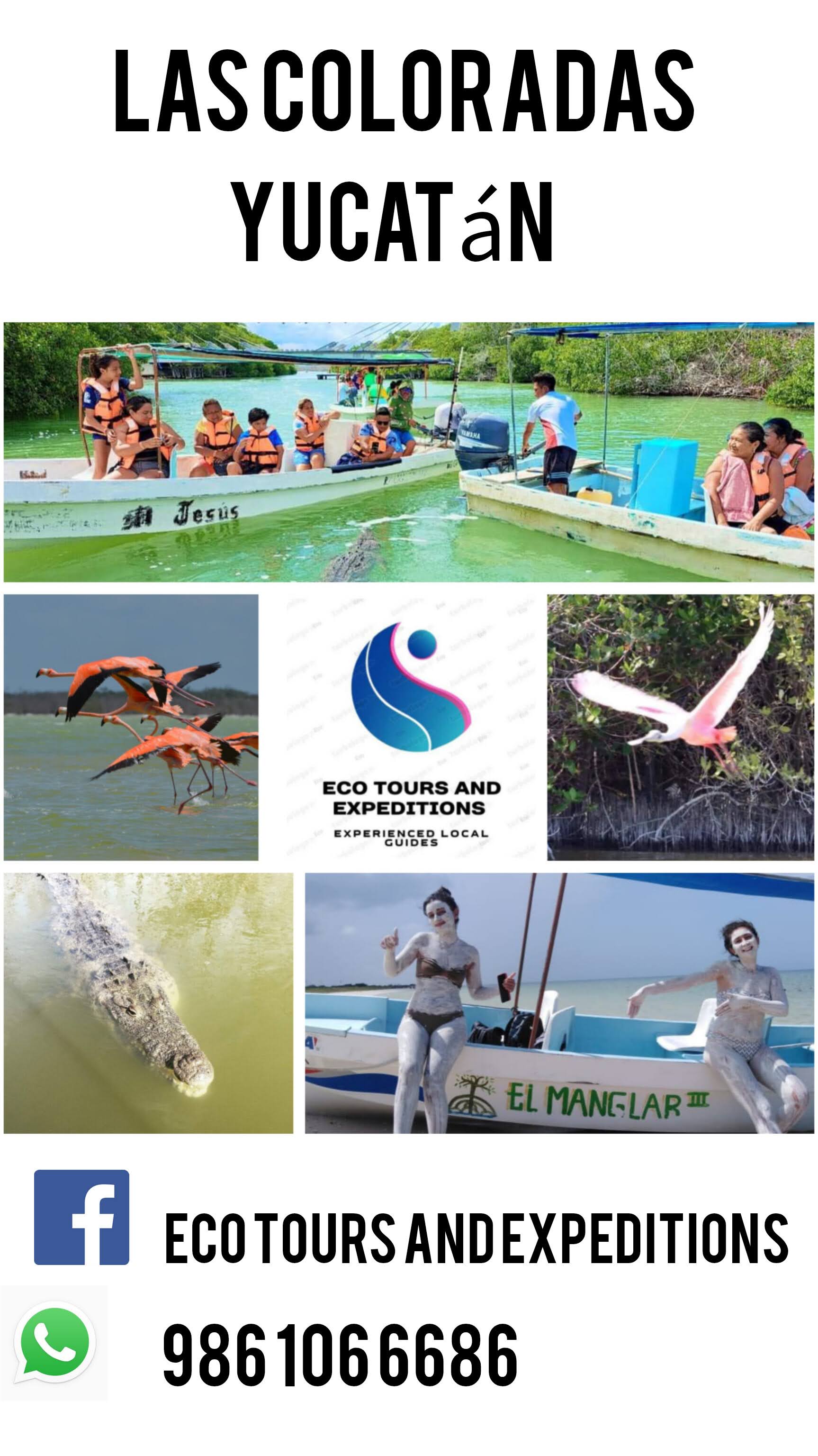 Eco Tours and Services