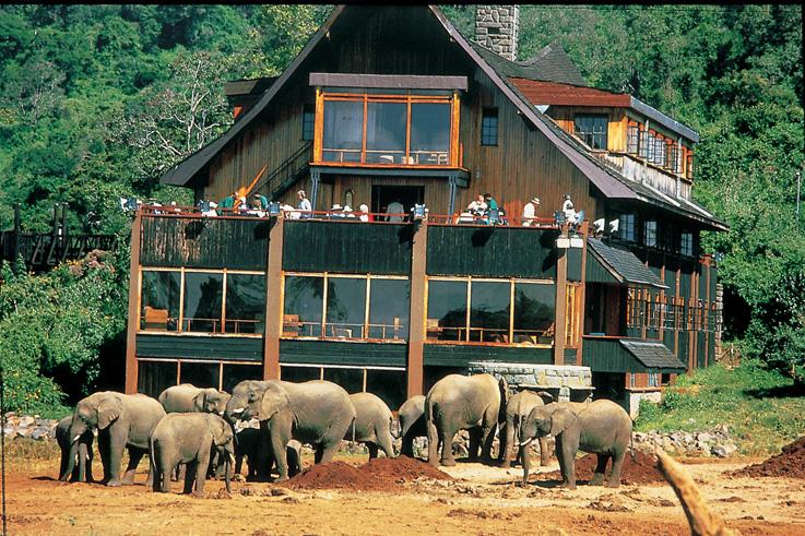 Exclusive Savannah Safaris-Kenya